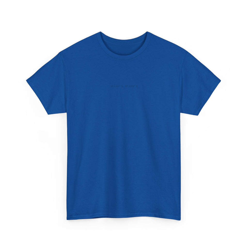 AMERICAS — Heritage Circuit Tee | PITWALL